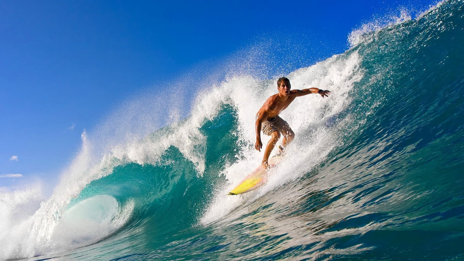 世俱杯精彩瞬间:五大联赛冠军的豪华对决,世俱杯排名